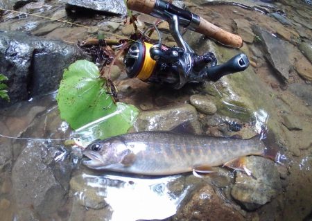 大増水の渓流で苦戦 ～長良川水系～